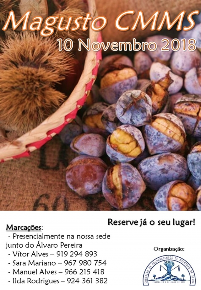 Magusto CMMS